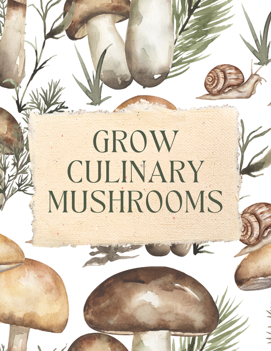 Grow Mushrooms at Home: Beginner's Guide to Indoor Gourmet Mushroom Cultivation (Ebook)