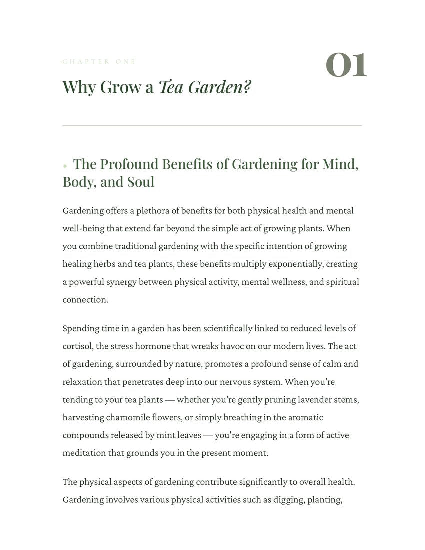 Chapter 1: Why grow a tea garden?