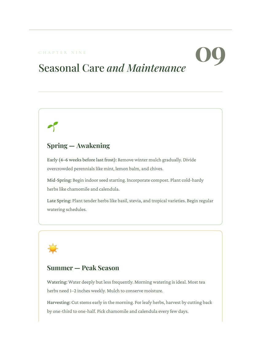 Chapter 8: chamomile