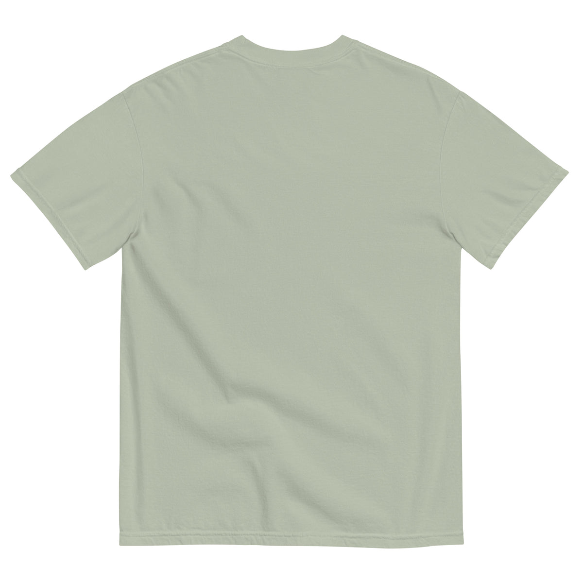 Throw Seeds Not Hands Unisex garment-dyed heavyweight t-shirt